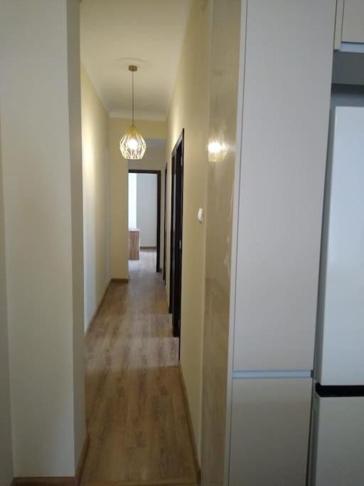 6P Apartamento Junto Ciudad De Las Artes Y Ruzafa Leilighet Valencia Eksteriør bilde